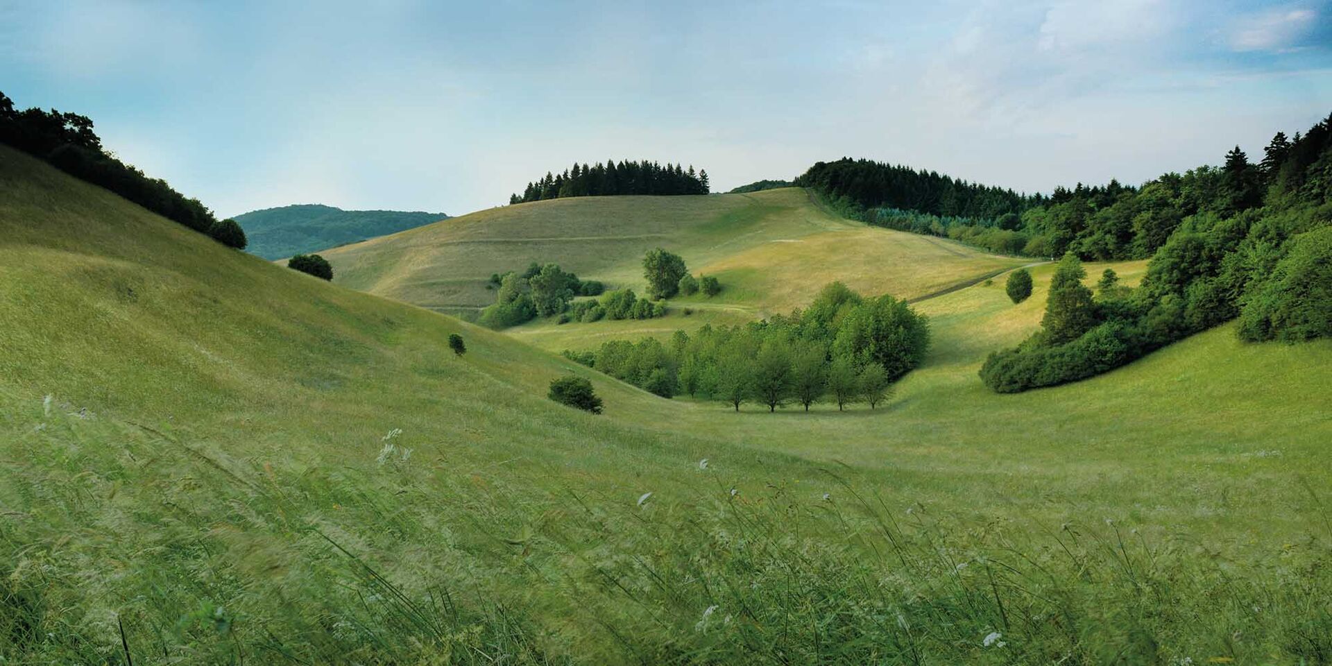 ALBA_Geschaeftsmodell_2000