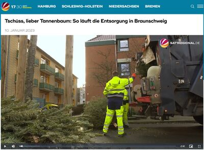 csm_Sat1_Weihnachtsbaeume_96cfa31a32 csm_Sat1_Weihnachtsbaeume_96cfa31a32