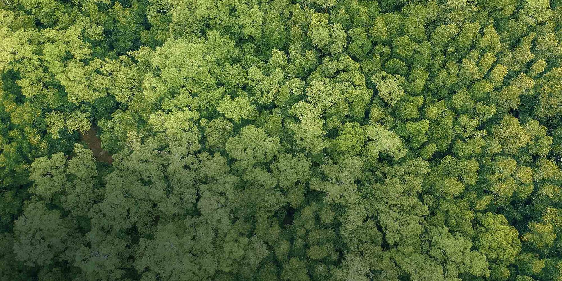 ALBA_Klimaschutz_2000
