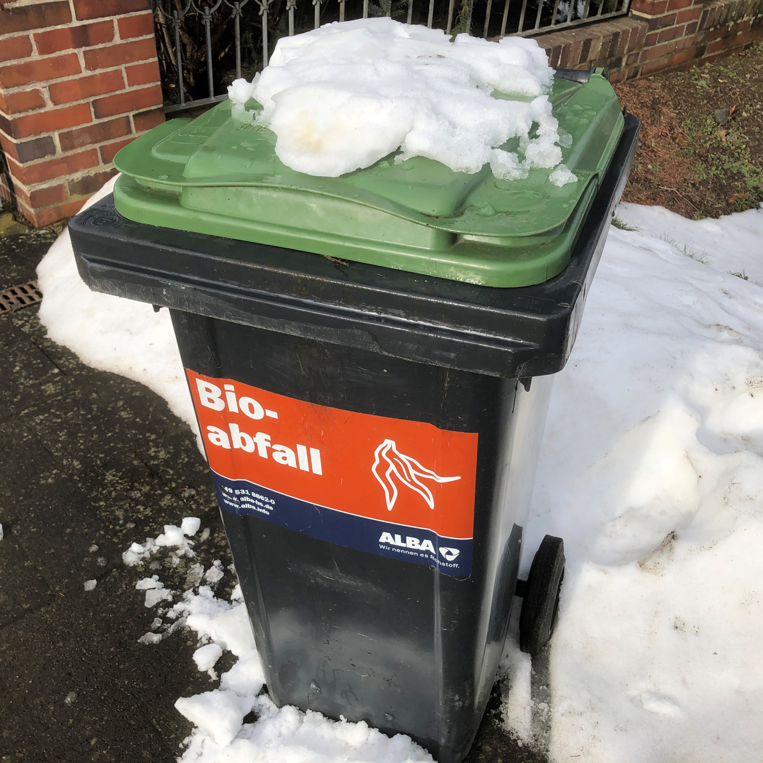 Biomüll gehört in die Biotonne