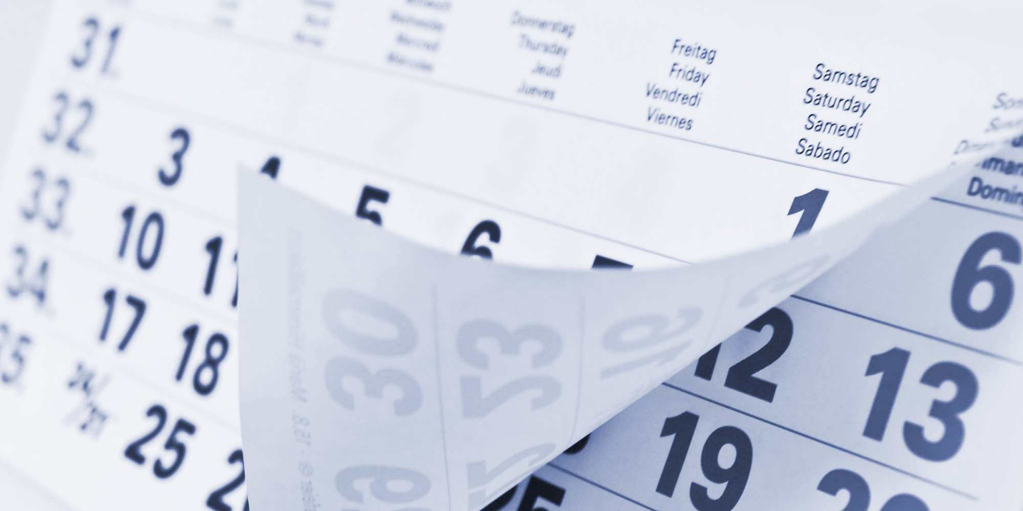 Termine der ALBA SE Kalender
