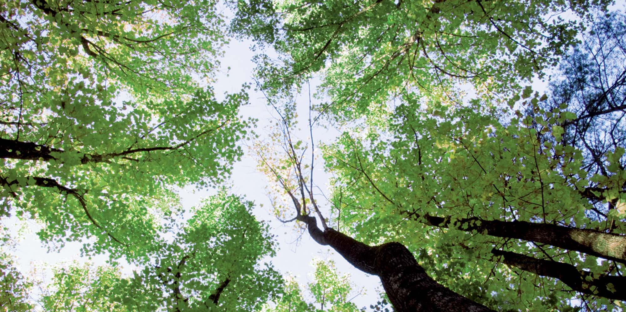 alba-group-unternehmen-ir-nichtfinanzielle-berichte