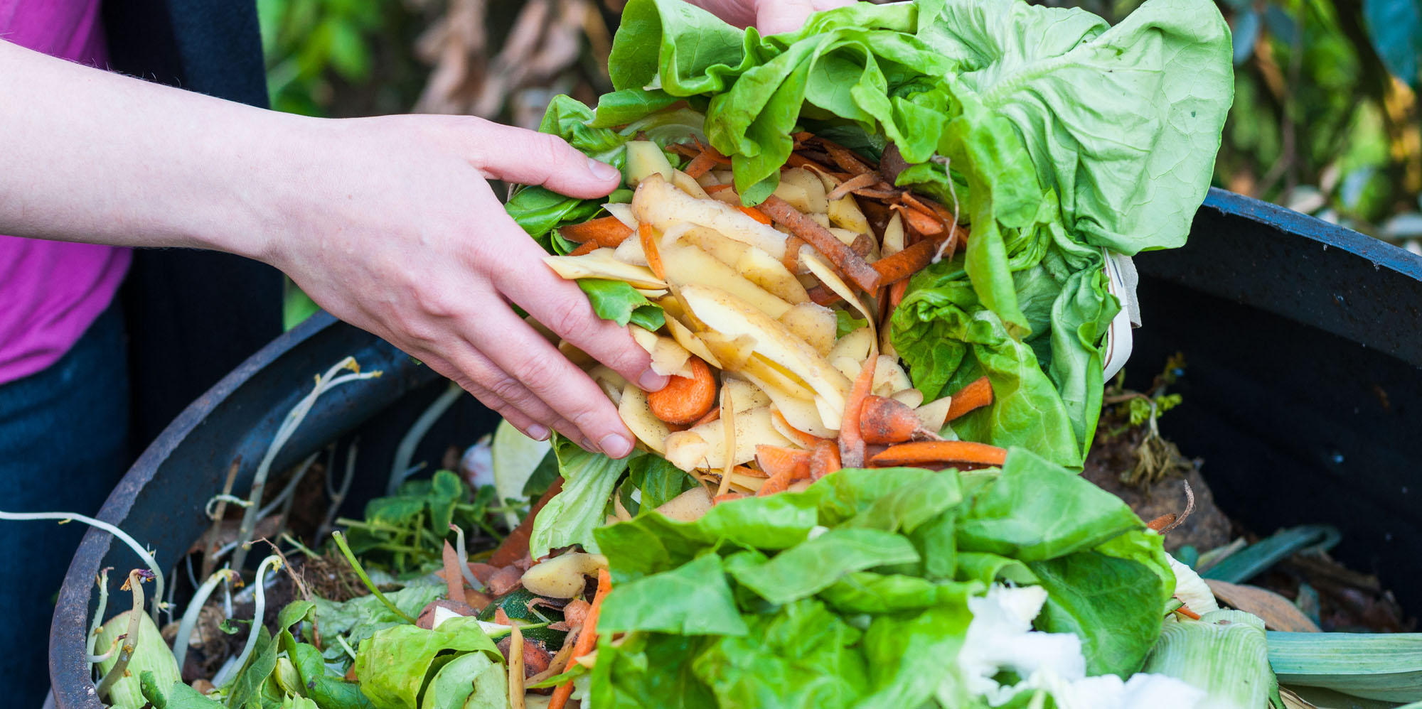 Bioabfall Und Grunschnitt Aus Dem Garten In Die Tonne