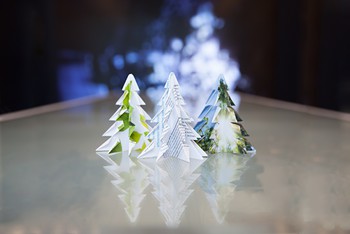csm_Nachhaltige_Weihnachten_cee9cde15c csm_Nachhaltige_Weihnachten_cee9cde15c