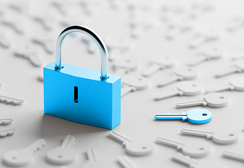 ALBA-Datenschutz-450