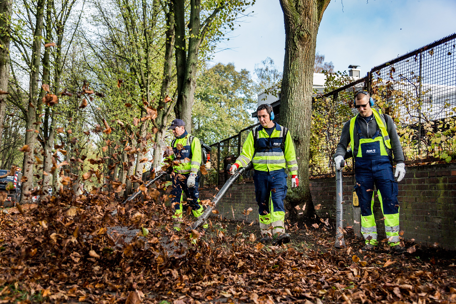 Laub_%40ALBA_Group Laub_%40ALBA_Group