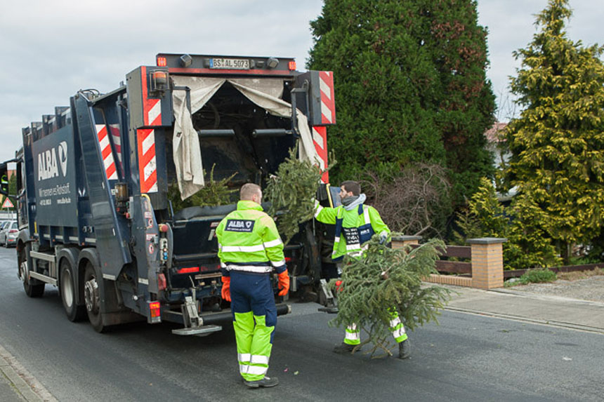 Weihnachtsbaum-Entsorgung startet nächste Woche
