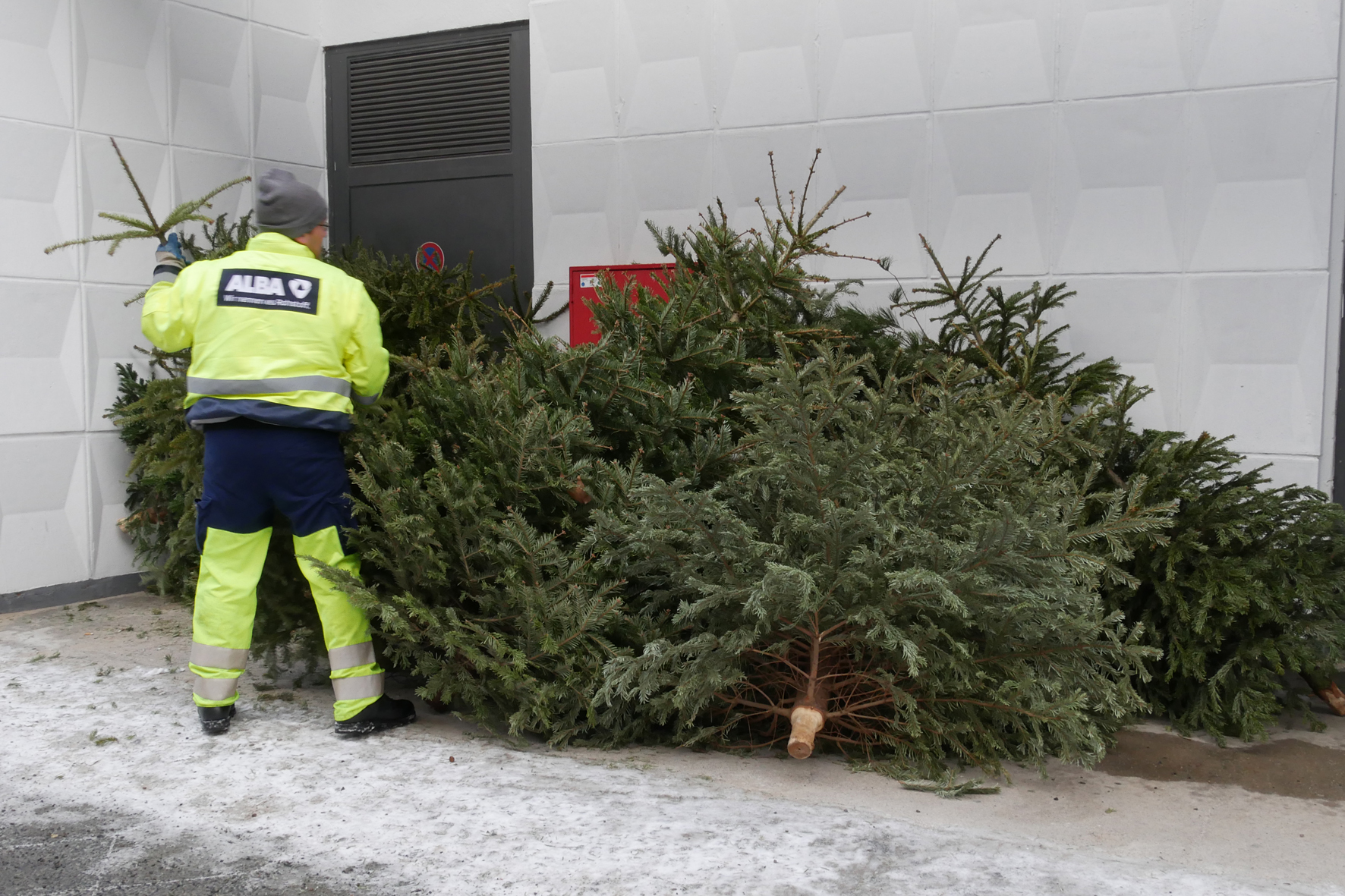 Weihnachtsbaumentsorgung